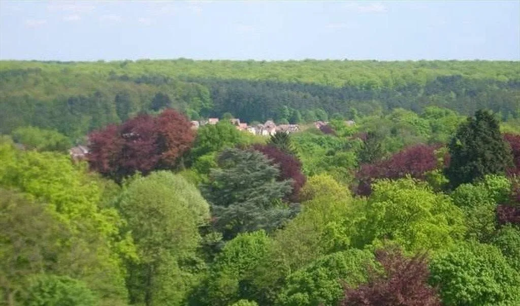 Watermael-Boitsfort